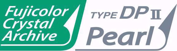 Billede af CLP CA  DPPELG  76.2X52.0 (replace 1046065)